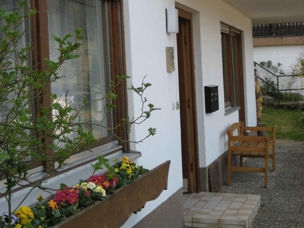 Ferienwohnung King Triberg im Schwarzwald Zewnętrze zdjęcie