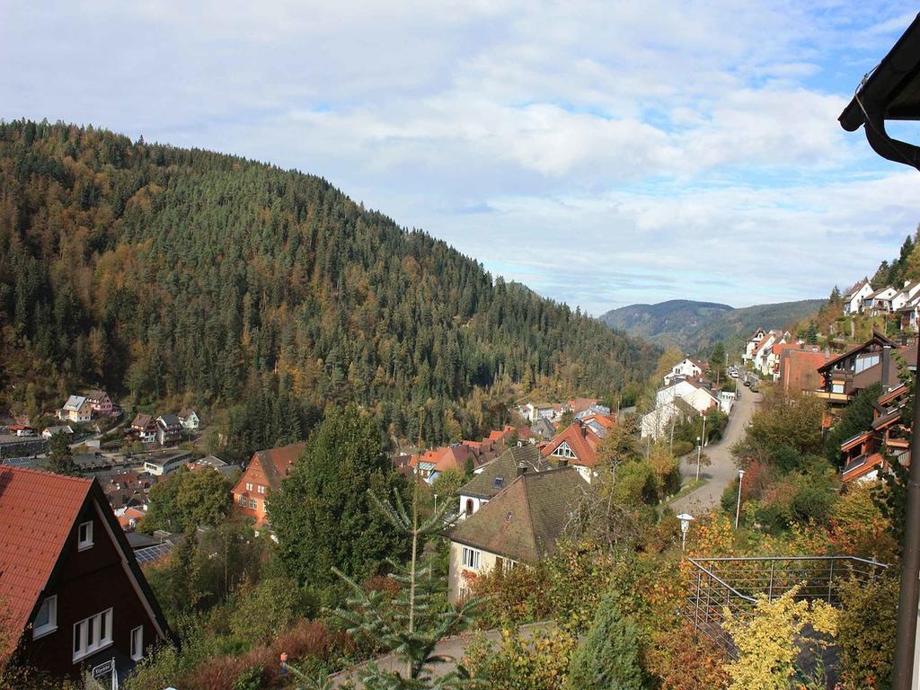 Ferienwohnung King Triberg im Schwarzwald Zewnętrze zdjęcie